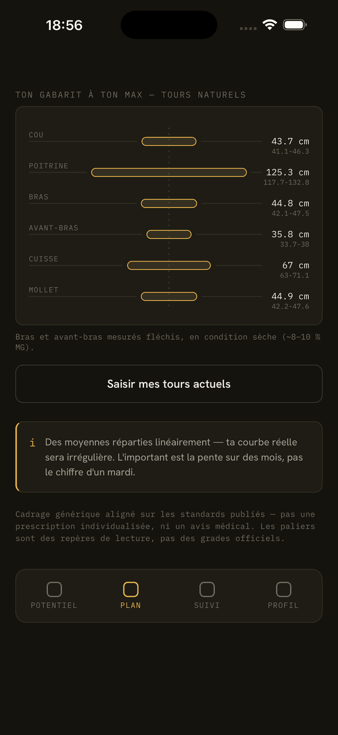 Écran gabarit de Natty : tours maximaux naturels par groupe musculaire, cotés comme un plan d'atelier.
